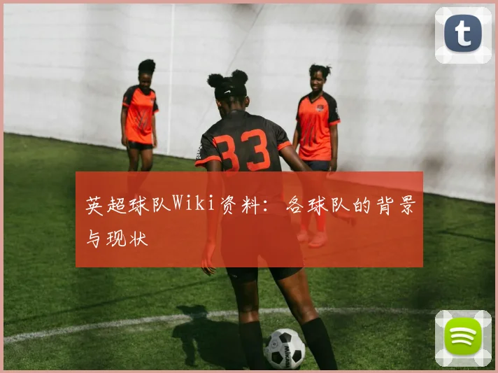 英超球队Wiki资料：各球队的背景与现状