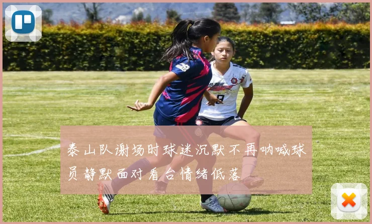 泰山队谢场时球迷沉默不再呐喊球员静默面对看台情绪低落