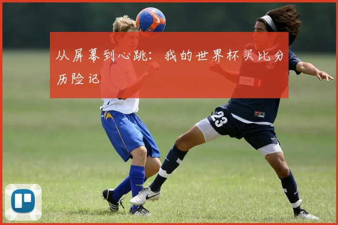 从屏幕到心跳：我的世界杯买比分历险记
