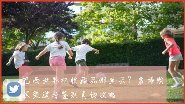 巴西世界杯收藏品哪里买？靠谱购买渠道与鉴别真伪攻略